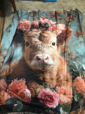 Highland Cow Shower Curtain - Little Used - 72" x 72"